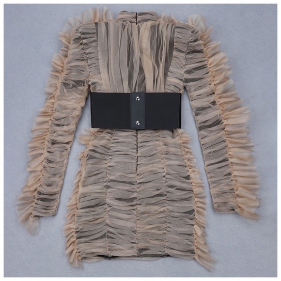 💕 The Solma Runway Pleated Tulle Dress - Picture 5 of 8